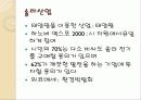 환경수도 프라이부르크 13페이지