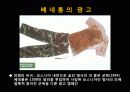 사회적 이슈를 풍자하라 - 이탈리아 베네통 광고 (Benetton Raising Consciousness and Controversy with Global Advertising) 16페이지