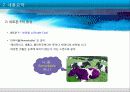 보라빛소가온다 4페이지