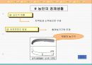 1.고대의 경제 13페이지
