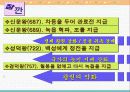 1.고대의 경제 24페이지