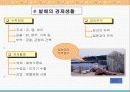 1.고대의 경제 32페이지