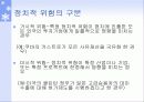 국제기업의 정치적 환경 5페이지