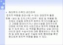 국제기업의 정치적 환경 19페이지