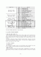 글로벌 리포트 -글로벌 기업의 현지화 전략 9페이지