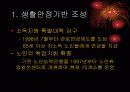 대한민국의 노인문제 12페이지