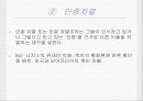 다문화 사회와 인종차별금지법제화 9페이지