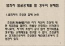 범죄자 얼굴공개 찬성 13페이지