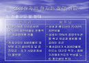 삼성전자의 현지화 전략비교, 경영전략 8페이지