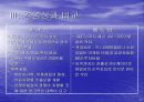 삼성전자의 현지화 전략비교, 경영전략 20페이지