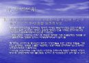 삼성전자의 현지화 전략비교, 경영전략 21페이지