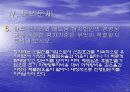 삼성전자의 현지화 전략비교, 경영전략 25페이지