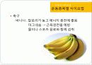 운동과건강_식이요법 6페이지