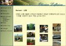 와인과 소믈리에론 (Olivier Leflaive ) 5페이지