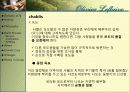 와인과 소믈리에론 (Olivier Leflaive ) 9페이지