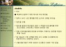 와인과 소믈리에론 (Olivier Leflaive ) 10페이지