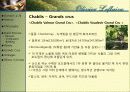 와인과 소믈리에론 (Olivier Leflaive ) 11페이지