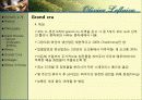 와인과 소믈리에론 (Olivier Leflaive ) 13페이지