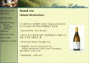 와인과 소믈리에론 (Olivier Leflaive ) 16페이지