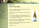 와인과 소믈리에론 (Olivier Leflaive ) 18페이지
