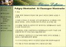 와인과 소믈리에론 (Olivier Leflaive ) 21페이지