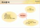 케라시스(KeraSys) 자사 상황 분석 소비자 태도 변화 통합마케팅전략 3페이지
