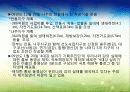 4대강 정비사업의 이모저모 4페이지