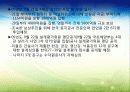 4대강 정비사업의 이모저모 12페이지
