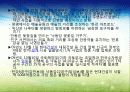 4대강 정비사업의 이모저모 13페이지