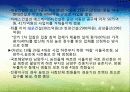 4대강 정비사업의 이모저모 14페이지