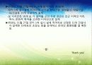 4대강 정비사업의 이모저모 15페이지