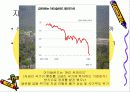 개발도상국과 신자유주의  8페이지