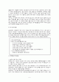 국제경영전략과제 - 쉬메릭 5페이지