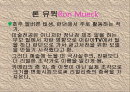 하이퍼리얼리즘(극사실주의) 2페이지