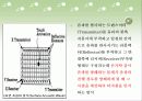 터치 스크린 기술 7페이지