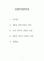 4대강 살리기의 문제점 2페이지