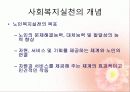 노년기 신체적 인지적 변화와 심리사회적 발달 사회복지실천에서의 관심영역 13페이지