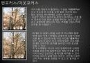 남서울대 사진기법과 이론 3페이지