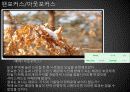 남서울대 사진기법과 이론 4페이지