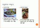독일 (사회와 사람, 음식, 유명지) 9페이지
