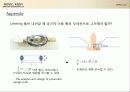 레벨링 밸브의 모형화에 대한 연구  17페이지
