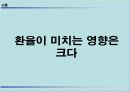 환율변화가 국가경제에미치는 영향과 대책  4페이지