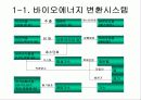 바이오에너지 3페이지