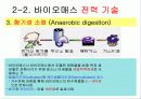 바이오에너지 10페이지