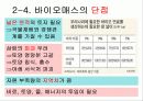 바이오에너지 14페이지