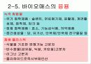 바이오에너지 15페이지