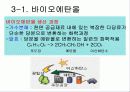 바이오에너지 26페이지