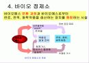 바이오에너지 30페이지
