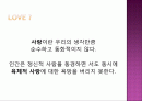 사랑 황금빛에로테시즘 2페이지