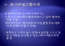 테마파크(theme park) 13페이지